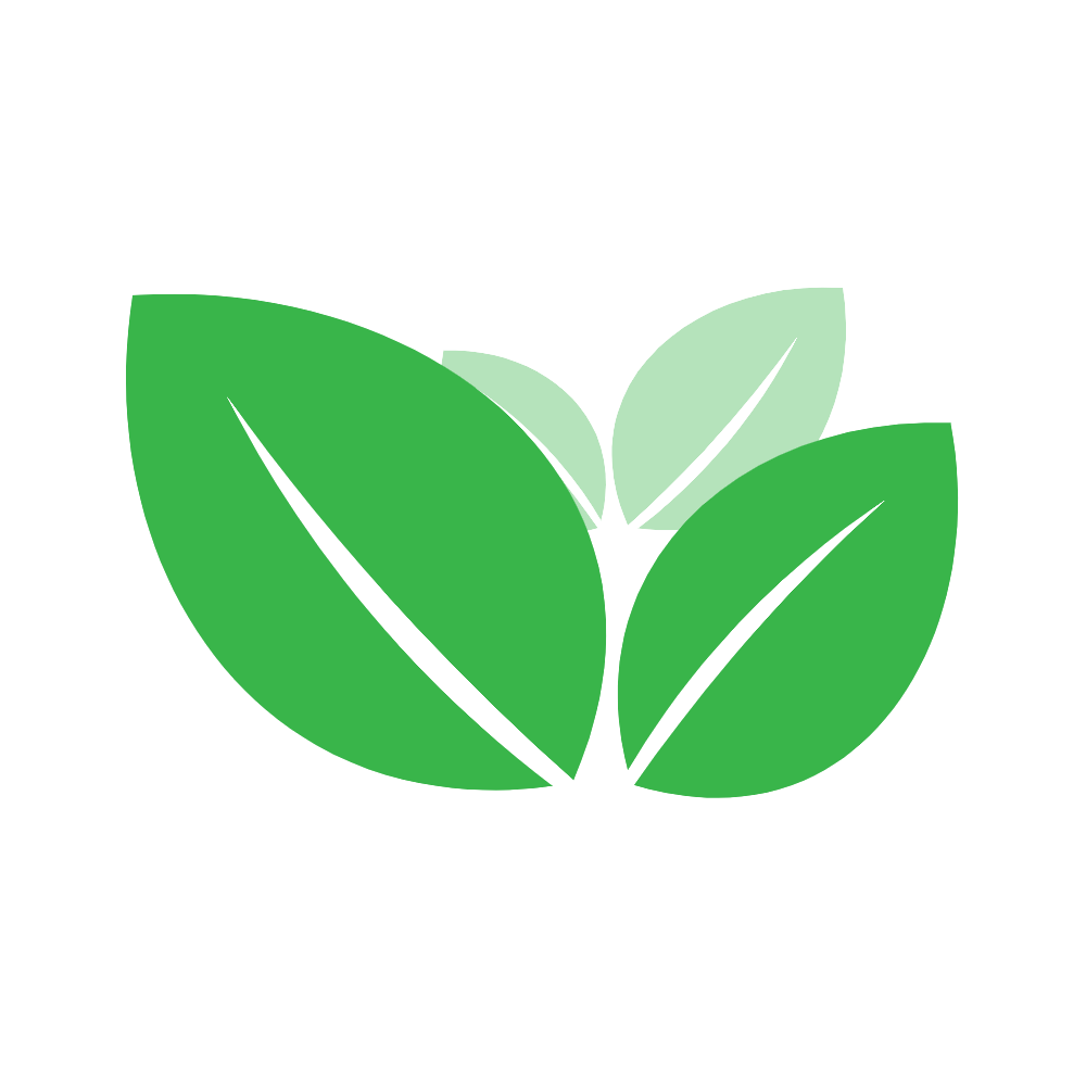 dichvutaidanang.com